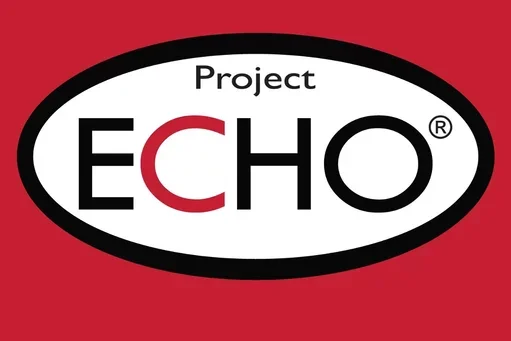 echo logo